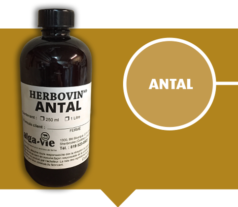 Plasma 6 - Pneumonie et mycoplasme