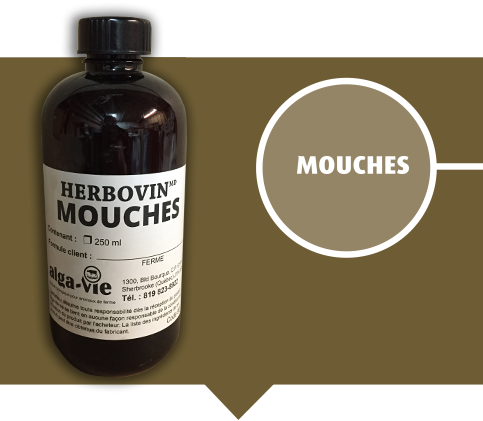 Herbobactol - Anti-infectieux